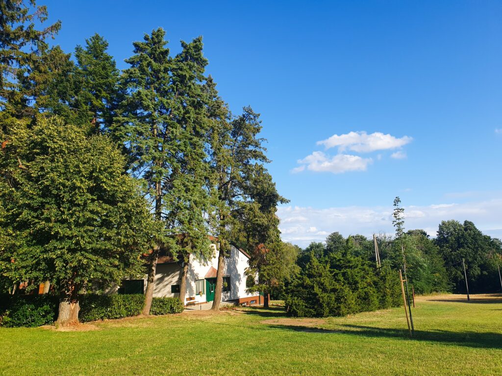 Ciszárhegyi Vadászház kert